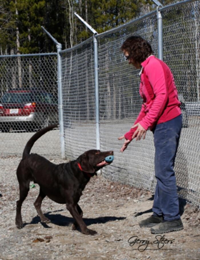 Images Eldorado VIP Boarding Kennels
