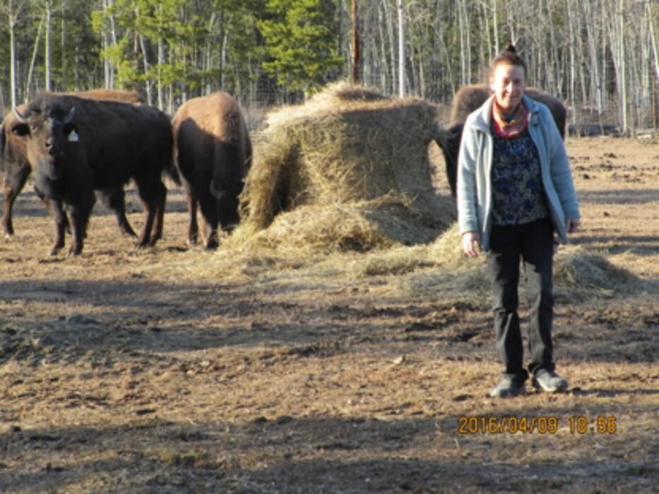 Images Eldorado VIP Boarding Kennels
