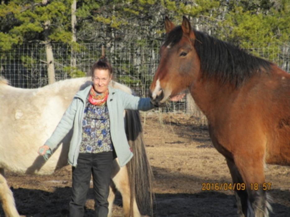 Images Eldorado VIP Boarding Kennels