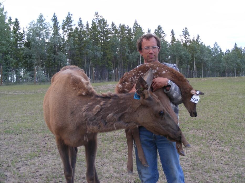 Images Eldorado VIP Boarding Kennels