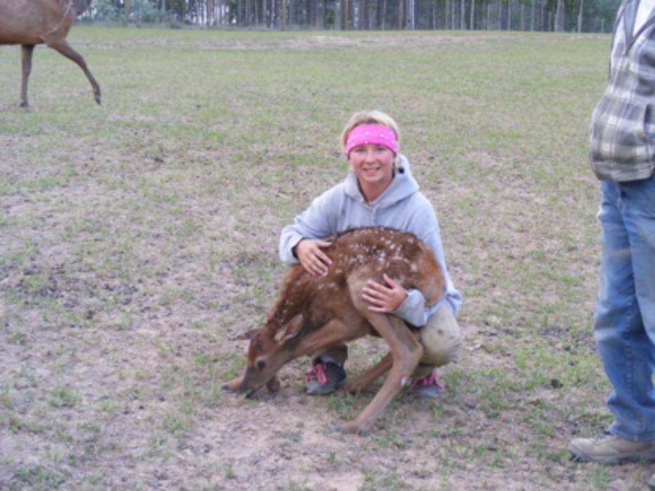 Images Eldorado VIP Boarding Kennels