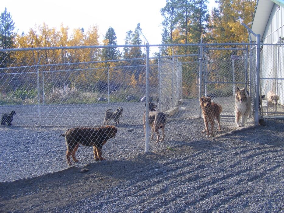 Images Eldorado VIP Boarding Kennels