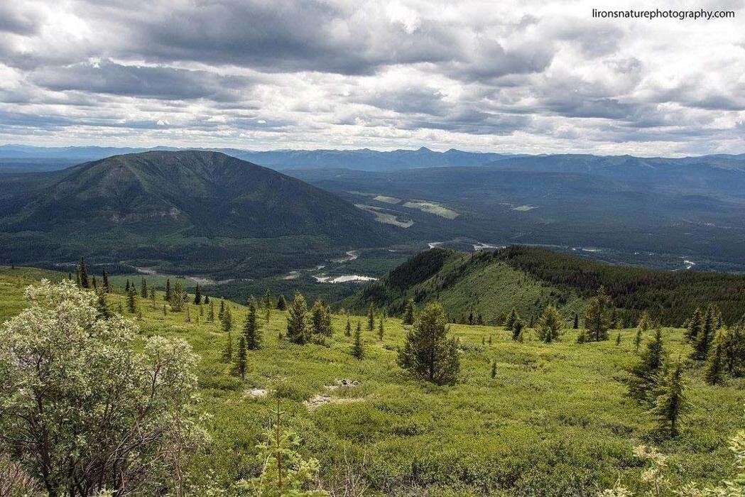 Images Pink Mountain Campsite Ltd