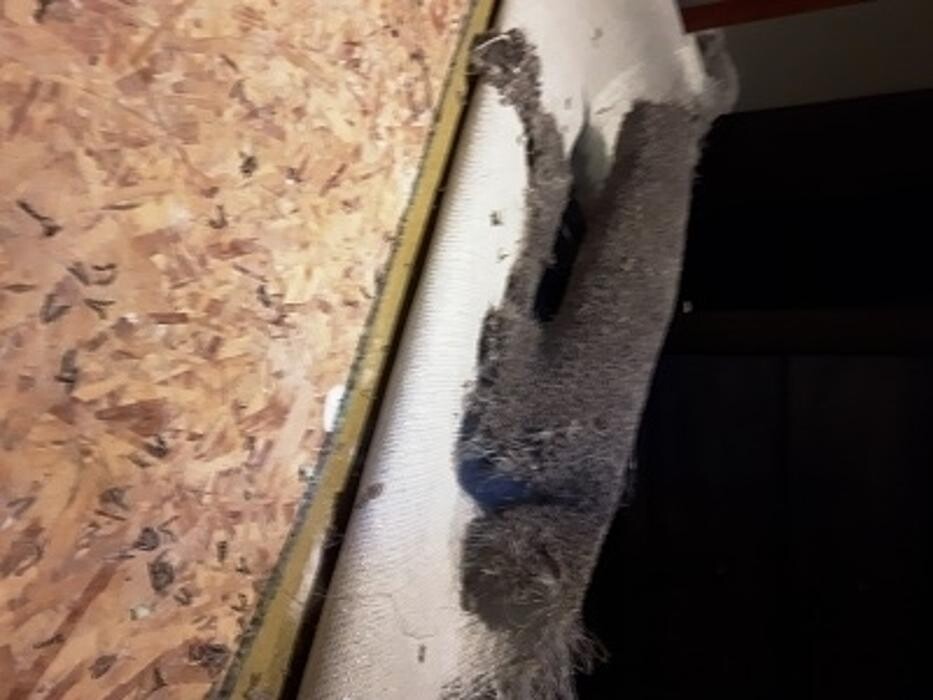 Images All Purpose Carpet Repair