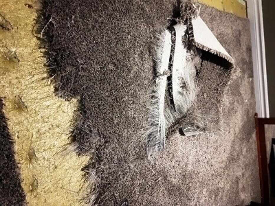 Images All Purpose Carpet Repair