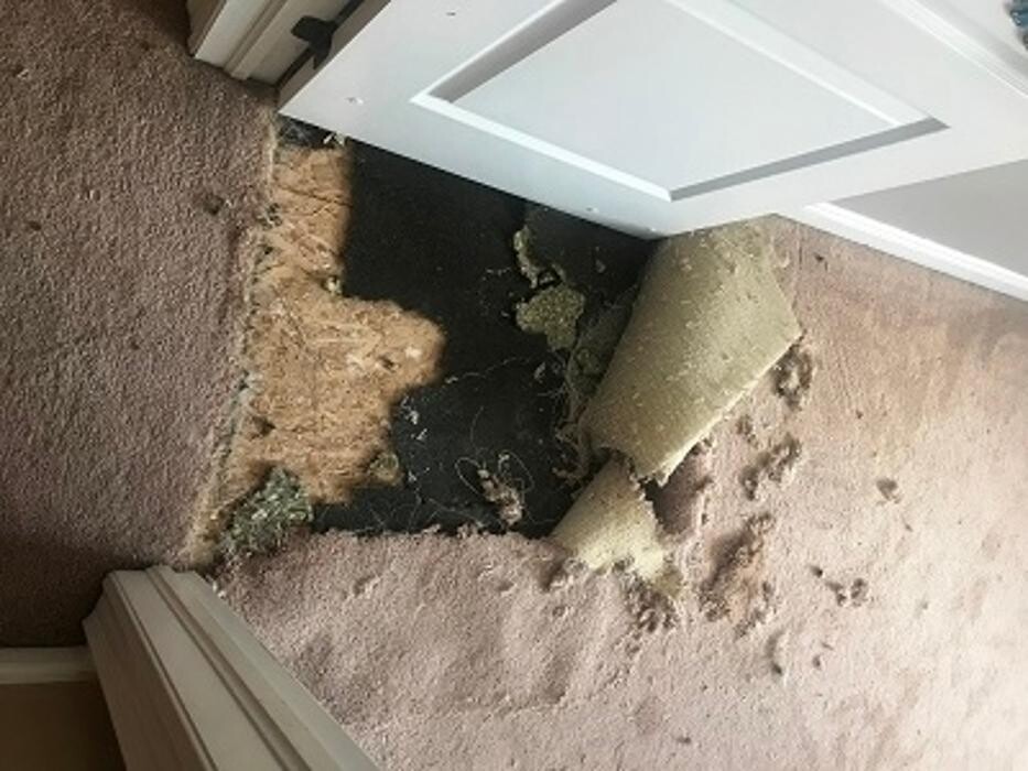 Images All Purpose Carpet Repair