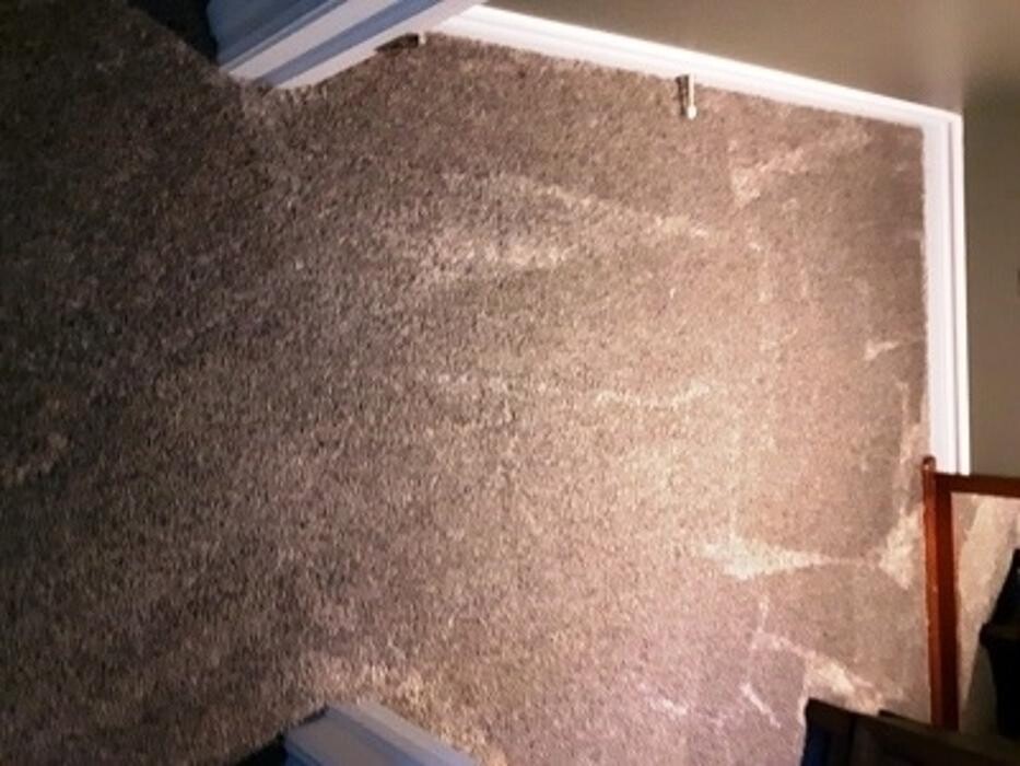 Images All Purpose Carpet Repair