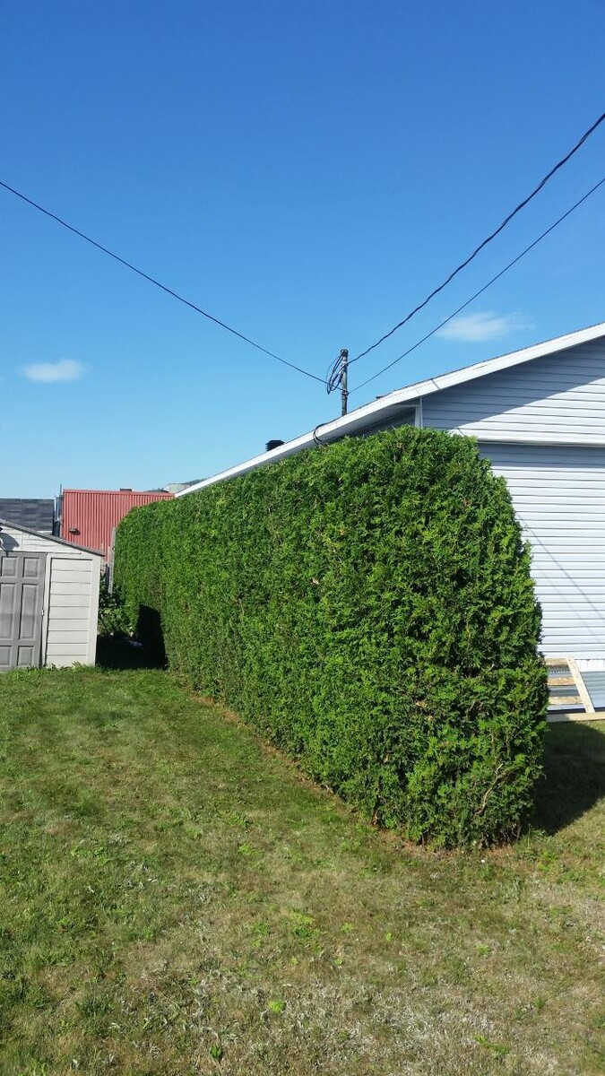 Images Entretien Excellence