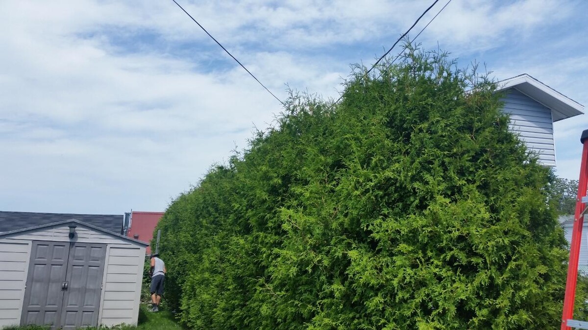 Images Entretien Excellence