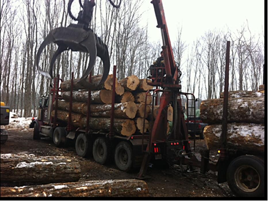 Images Larry Miscio Logging & Firewood Sales