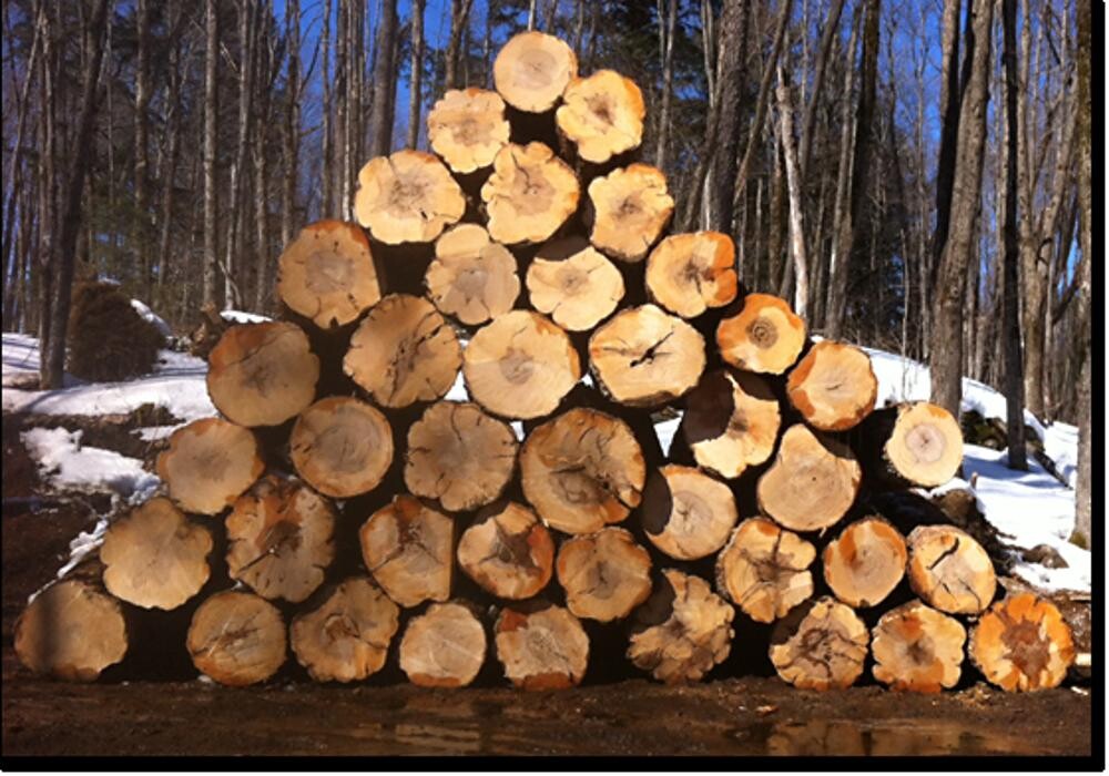 Images Larry Miscio Logging & Firewood Sales
