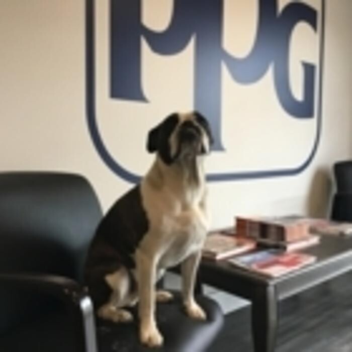 Images Hammer Collision Ltd