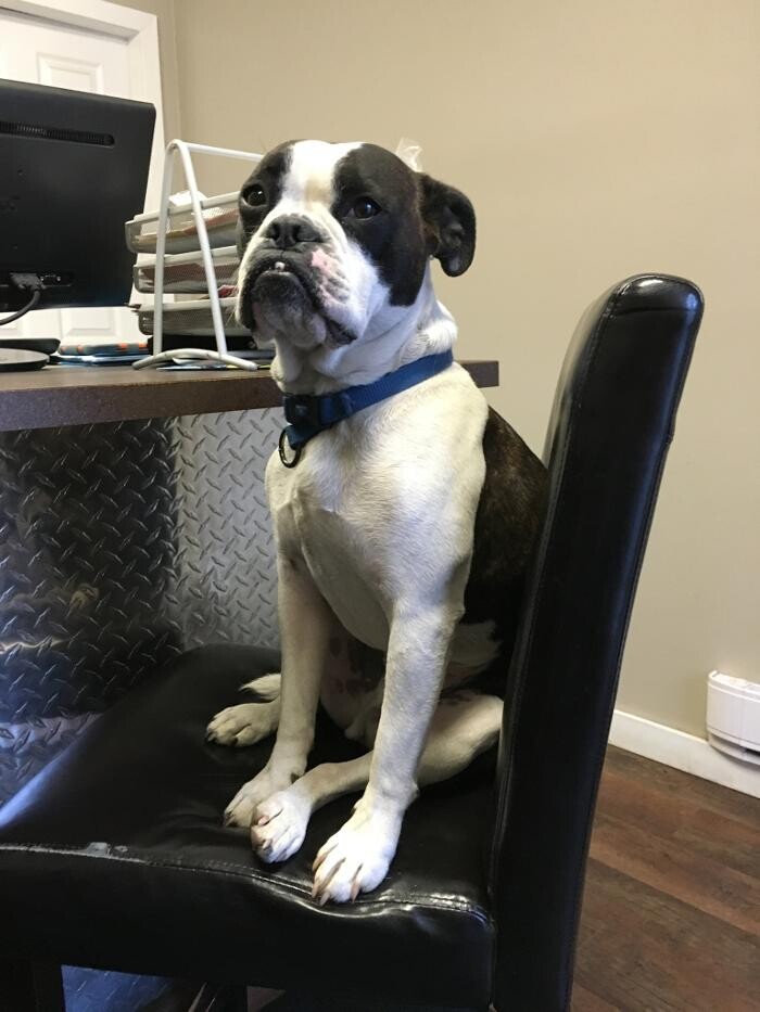 Images Hammer Collision Ltd