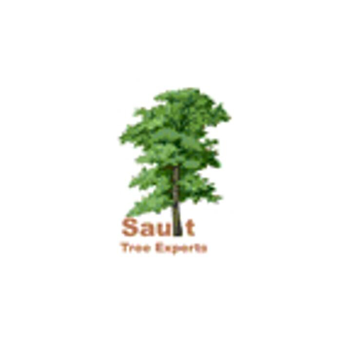 Images Sault Tree Experts
