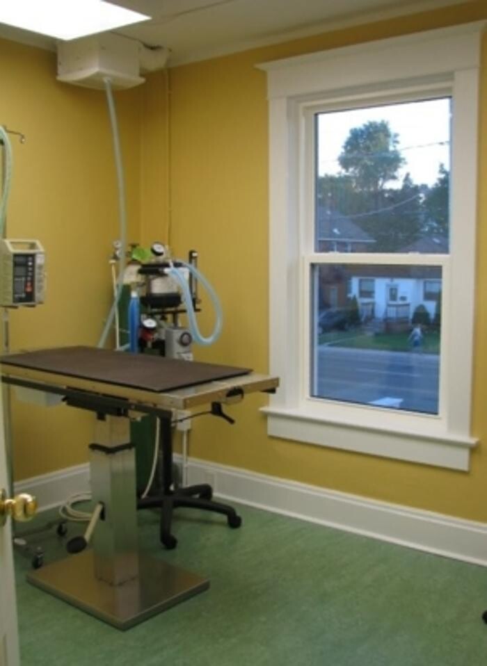 Images South Whitby Veterinary Services