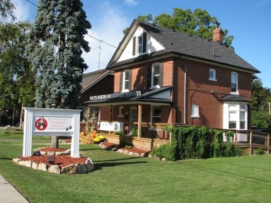 Images South Whitby Veterinary Services