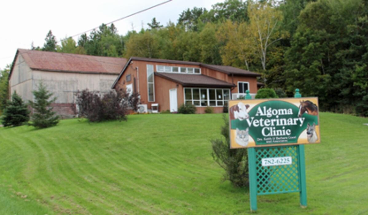 Images Algoma Veterinary Clinic