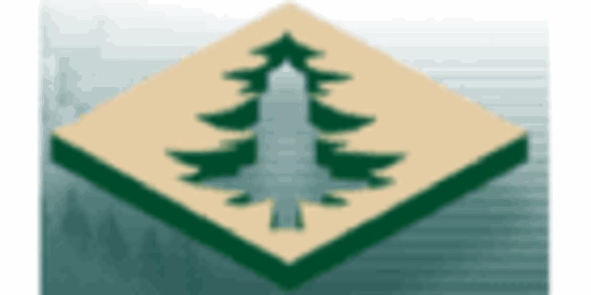 Les Scieries Lac St-Jean Inc Logo