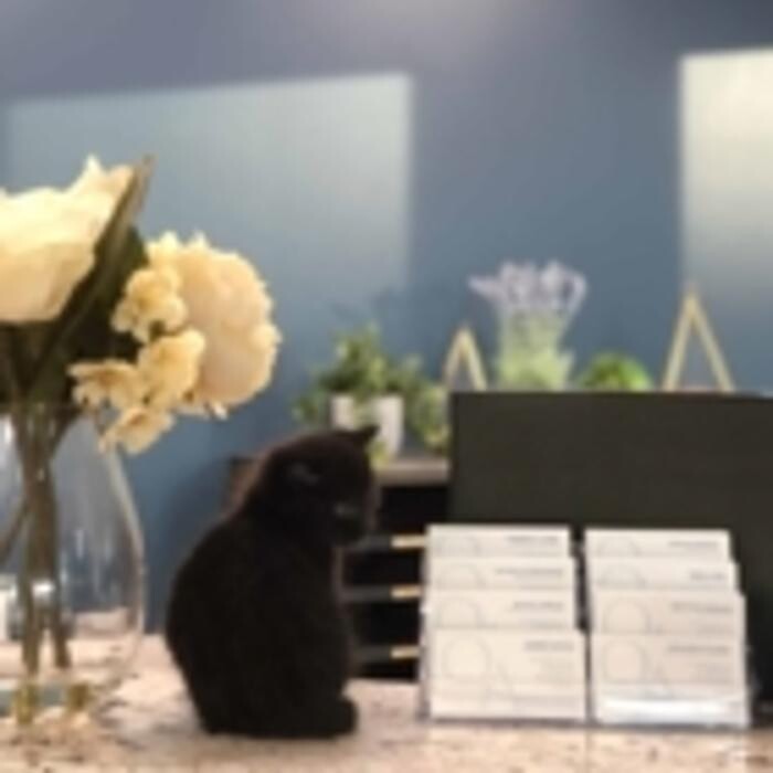 Images Queck & Associates Law Office