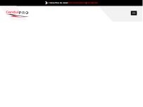 Website Screenshot Conduipro Beauport