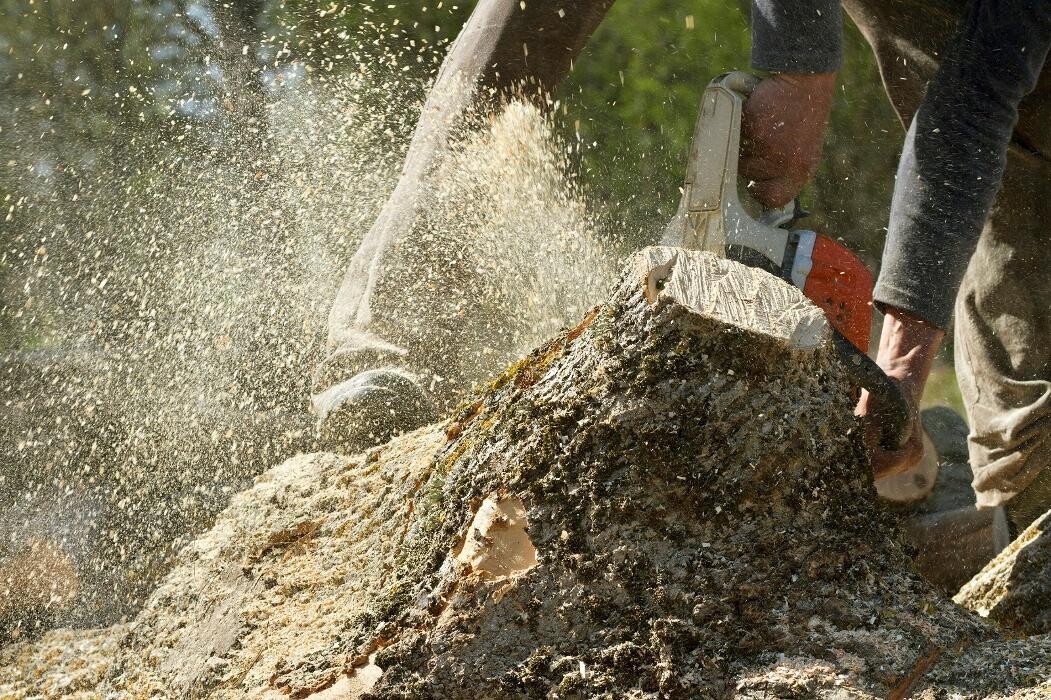 Images Brantford Tree Service