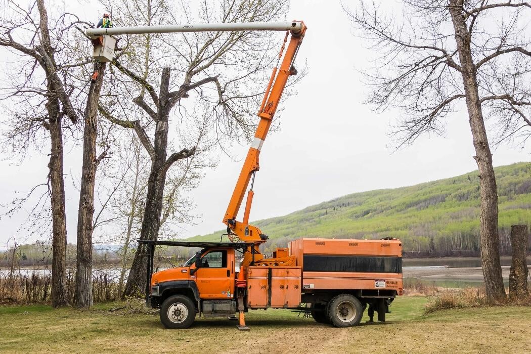 Images Northern Rockies Tree Service