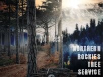 Website Screenshot Northern Rockies Tree Service