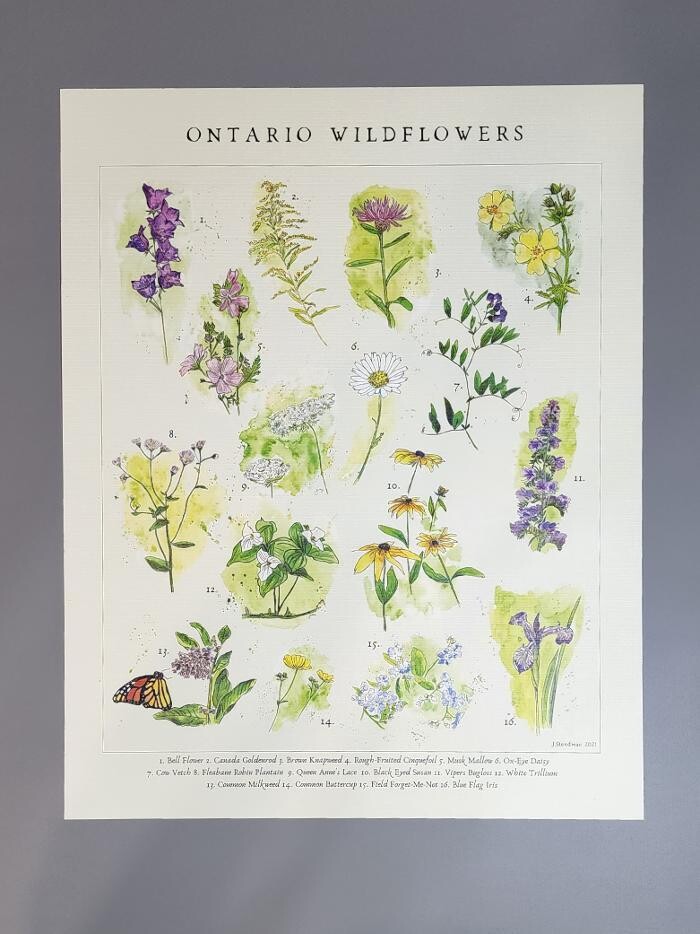 Images Duplicators Inc.