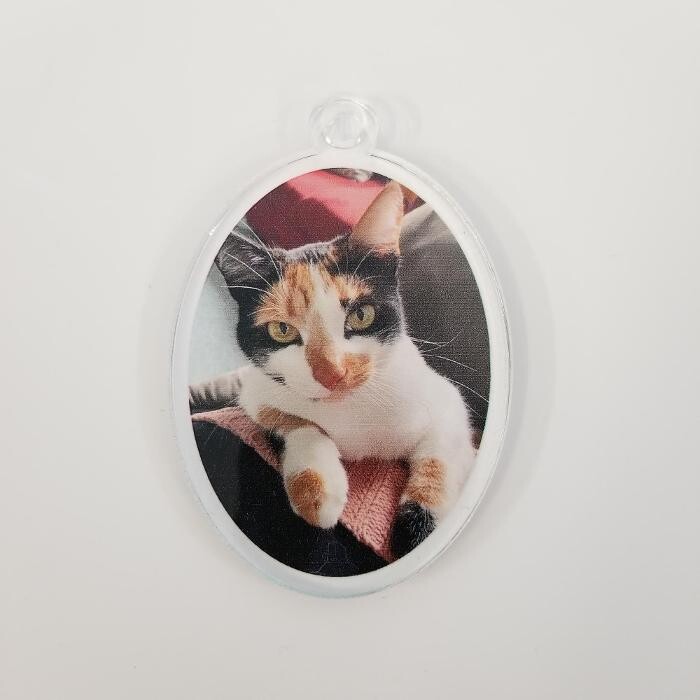 Images Duplicators Inc.