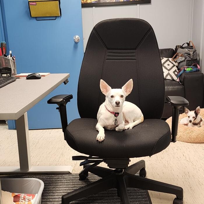 Images Duplicators Inc.