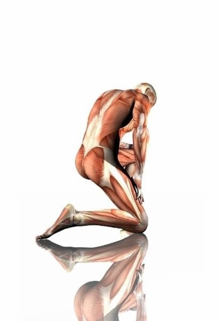 Images Physiothérapie Médiplus