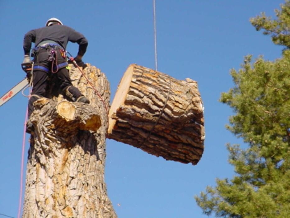 Images Tomahawk Tree Services Ltd