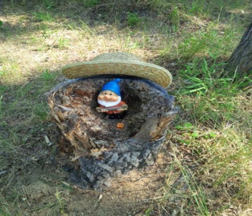 Images Aspen Ridge Campground