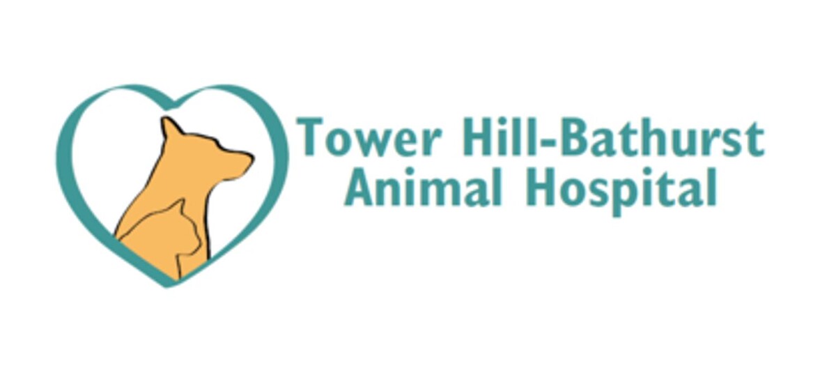 Images Tower Hill-Bathurst Animal Hospital