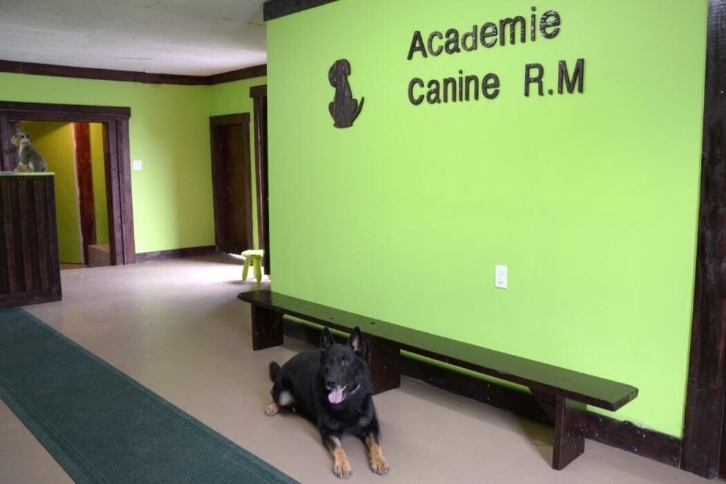 Images Académie Canine RM
