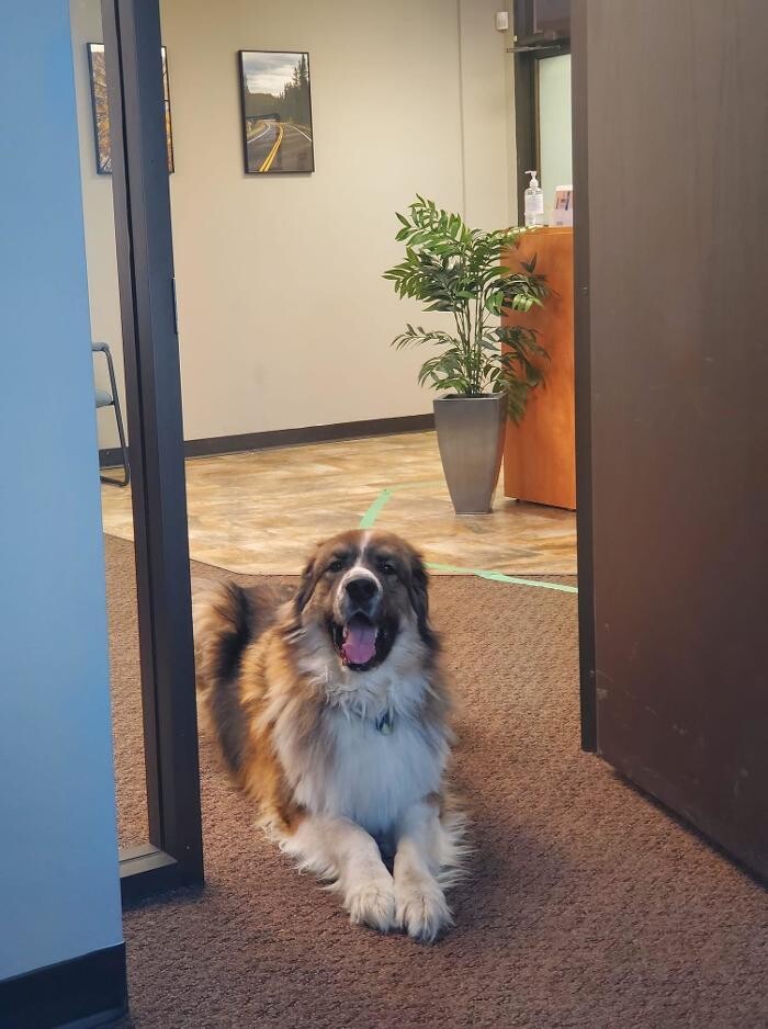 Images Adroit Technologies Ltd.