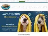 Website Screenshot Distribution Gilles St-Jean Inc