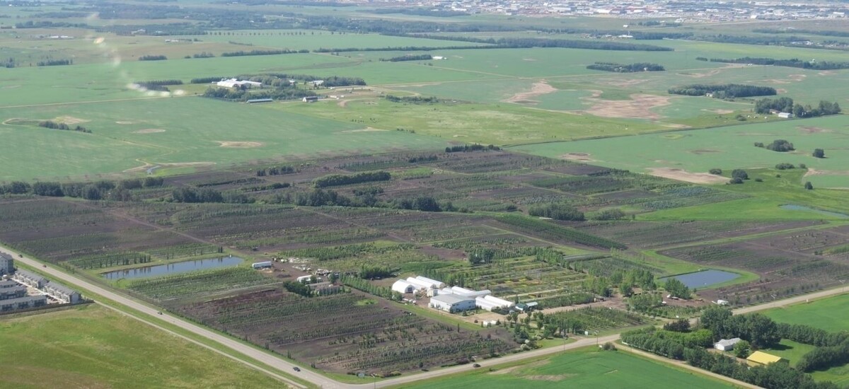 Images Cheyenne Tree Farms Ltd