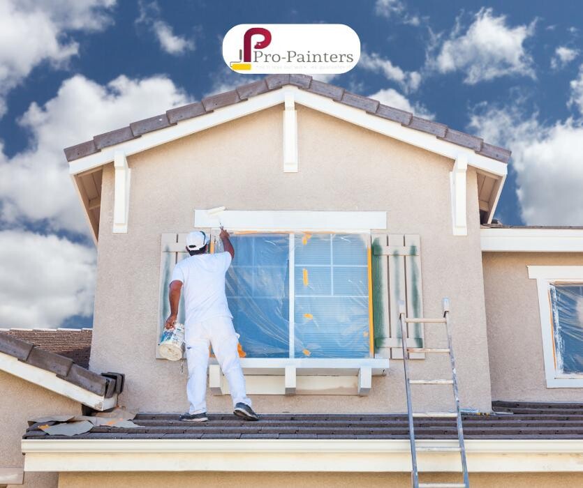 Images Pro Painters