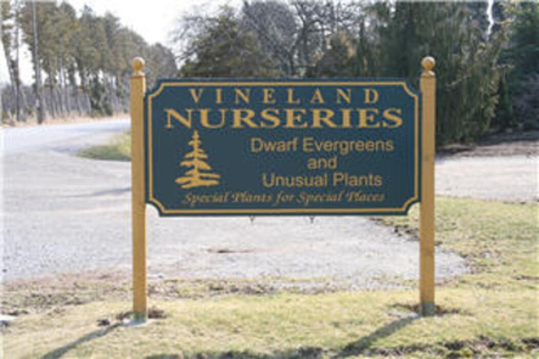 Images Vineland Nurseries