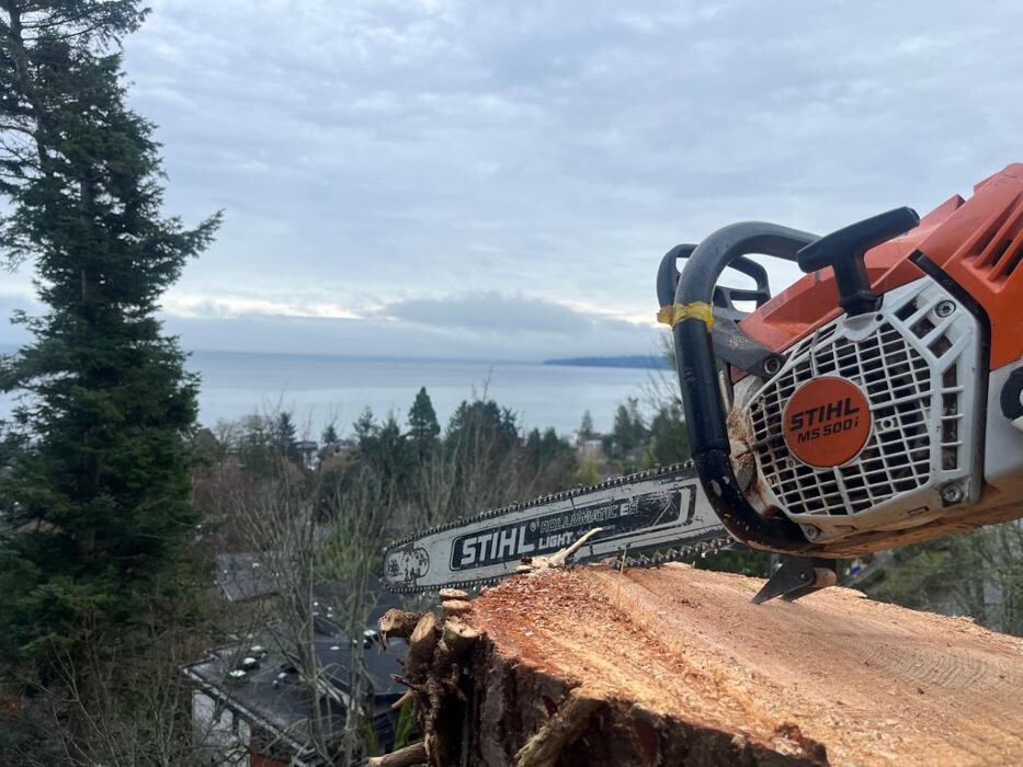 Images Evergreen Tree Service