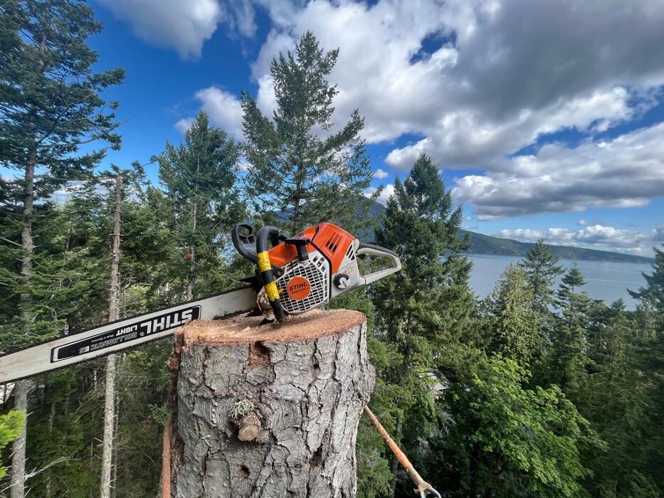 Images Evergreen Tree Service