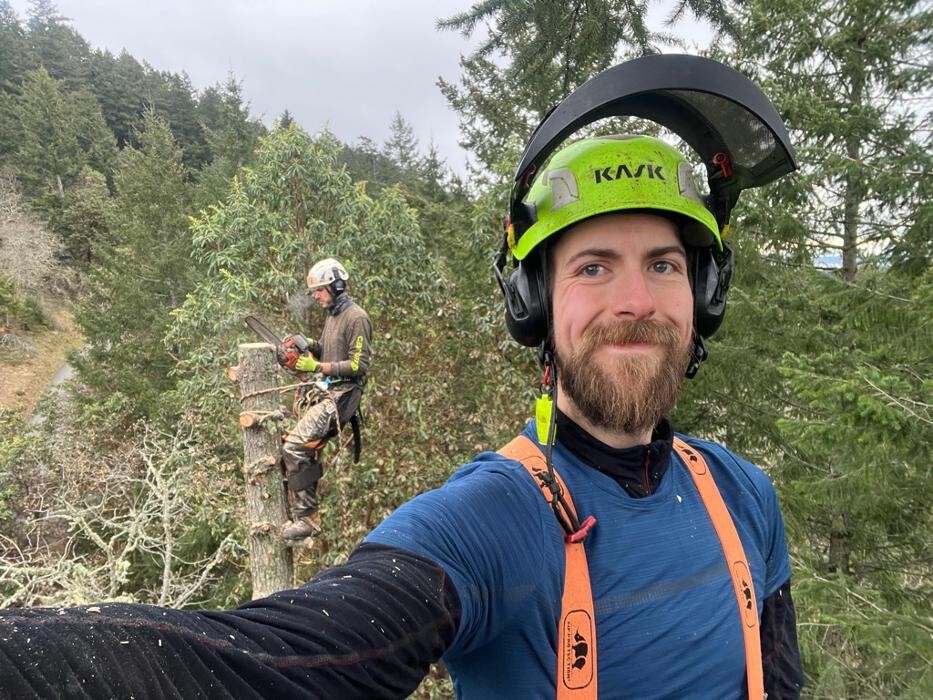 Images Evergreen Tree Service