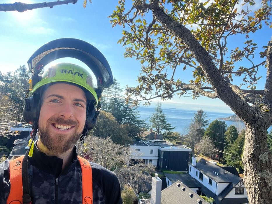 Images Evergreen Tree Service