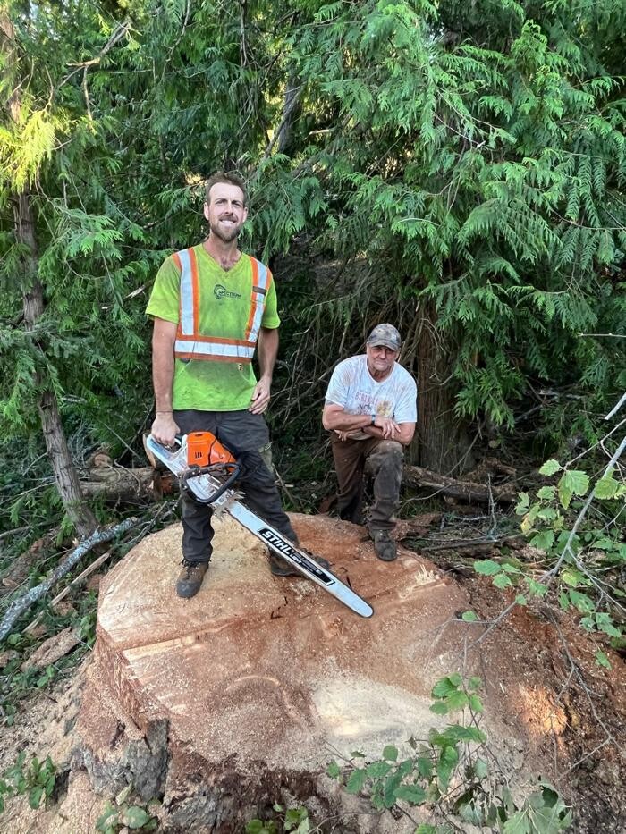 Images Evergreen Tree Service