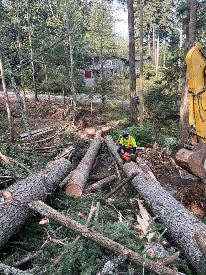 Images Evergreen Tree Service
