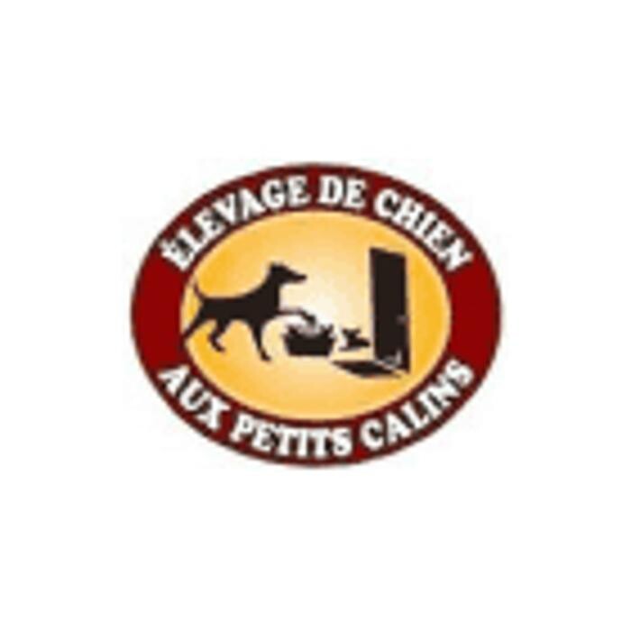 Images Élevage de Chiens aux Petits Câlins