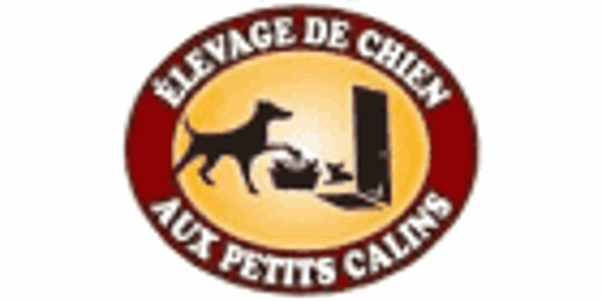 Élevage de Chiens aux Petits Câlins Logo