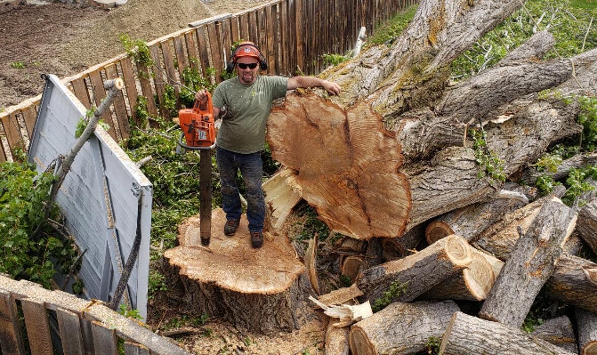 Images East Kootenay Tree Service