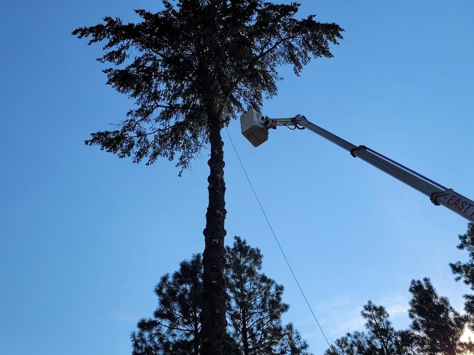 Images East Kootenay Tree Service